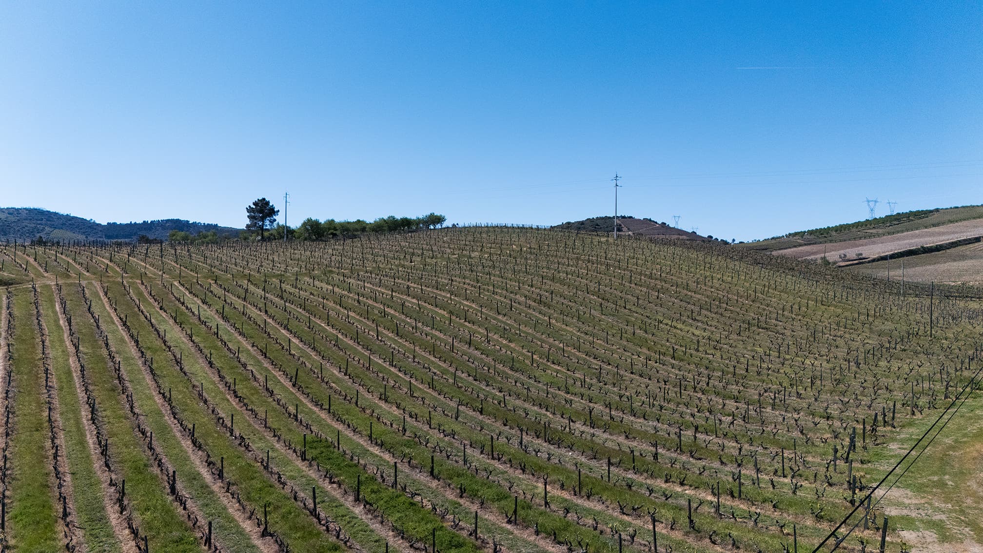 Terroir